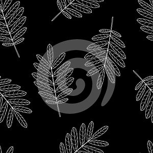 Seamless pattern autumn leaves of mountain ash black background vector illustration